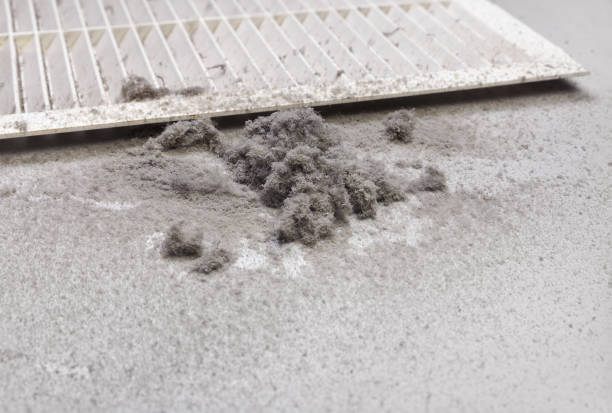 Best Ductwork Cleaning Services  in Philipsburg, MT