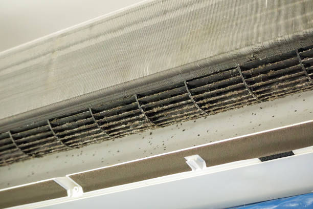 Best Local Air Duct Cleaning Services  in Philipsburg, MT